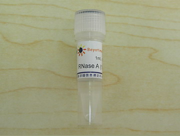 RNase A (10mg/ml)(ST578)