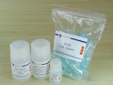 DNA凝胶回收试剂盒(D0056)