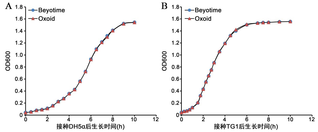 BeyoPure™ Tryptone/BeyoPure™胰蛋白胨(ST802)