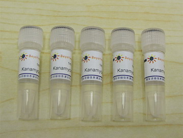 Kanamycin (10mg/ml,1000X)(ST102)
