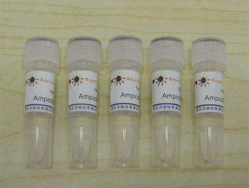 Ampicillin (100mg/ml,1000X)(ST008)