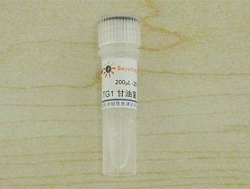 TG1 甘油菌(D0389)