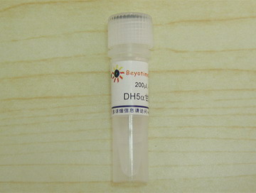 DH5α甘油菌(D0351)
