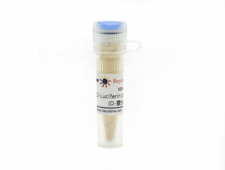 D-Luciferin potassium salt (D-萤光素钾盐)(ST196-500mg)