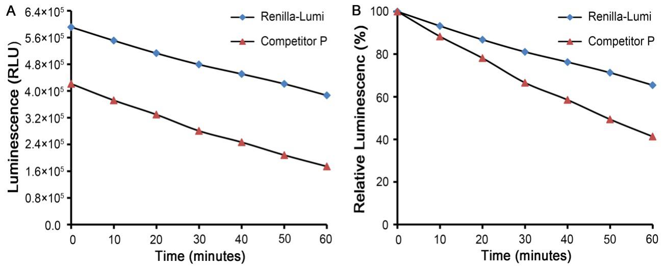 Renilla-Lumi™海肾萤光素酶报告基因检测试剂盒(RG062M)