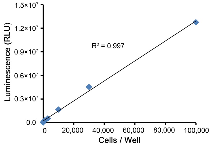 Bright-Lumi™萤火虫萤光素酶报告基因检测试剂盒(RG051S)