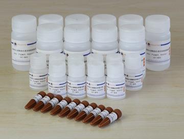 海肾萤光素酶报告基因检测试剂盒(RG017)