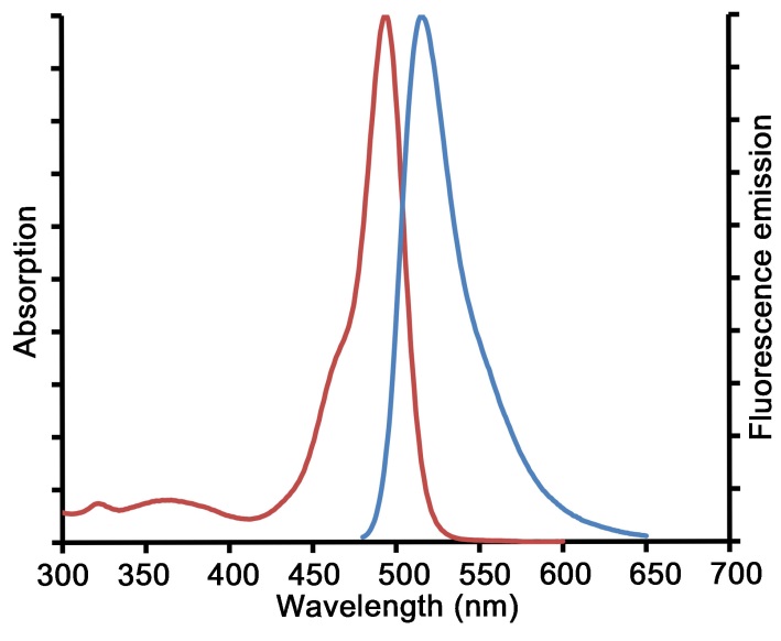 Fluo-4 AM (钙离子荧光探针, 2mM)(S1060)