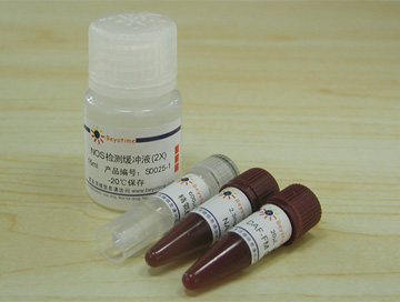 一氧化氮合成酶检测试剂盒(荧光法)(S0025)