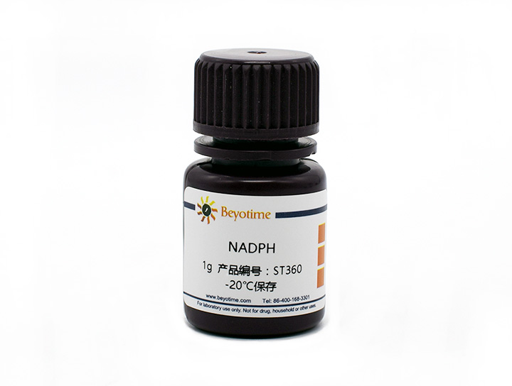 NADPH(ST360-1g)