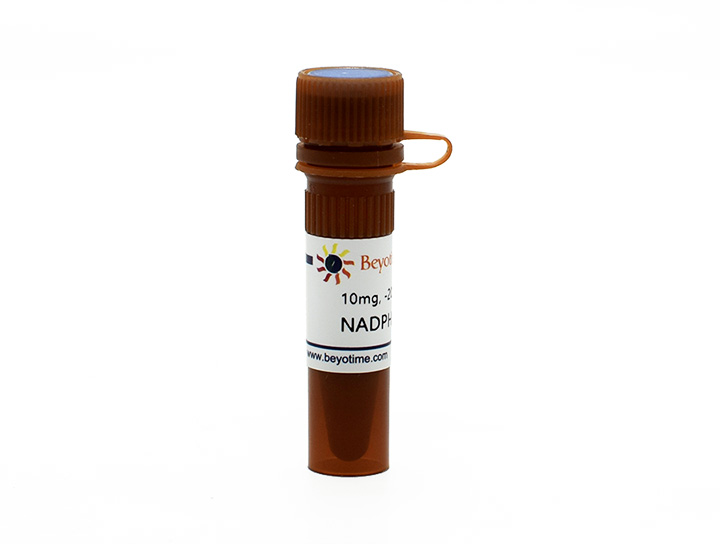 NADPH(ST360-10mg)