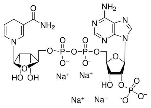 NADPH(ST360-10mg)