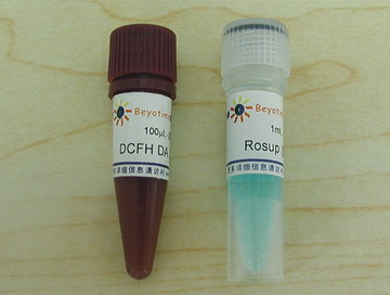 活性氧检测试剂盒(S0033)