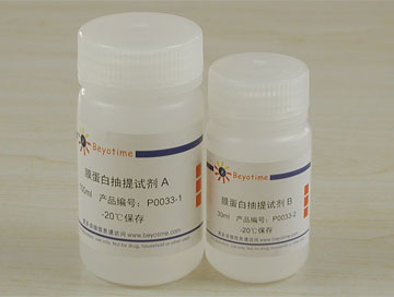 细胞膜蛋白与细胞浆蛋白提取试剂盒(P0033)