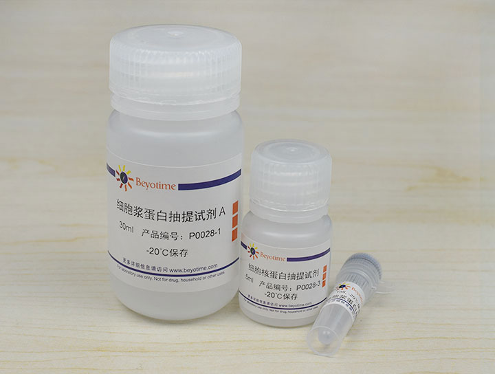 细胞核蛋白与细胞浆蛋白抽提试剂盒(P0028)
