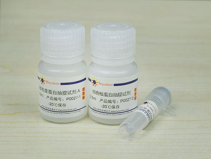 细胞核蛋白与细胞浆蛋白抽提试剂盒(P0027)