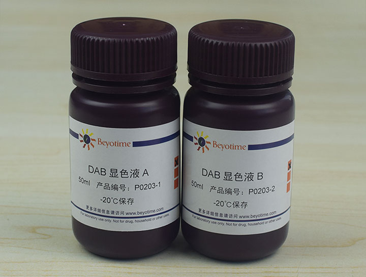 DAB辣根过氧化物酶显色试剂盒(P0203)