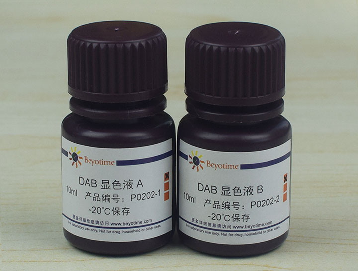 DAB辣根过氧化物酶显色试剂盒(P0202)