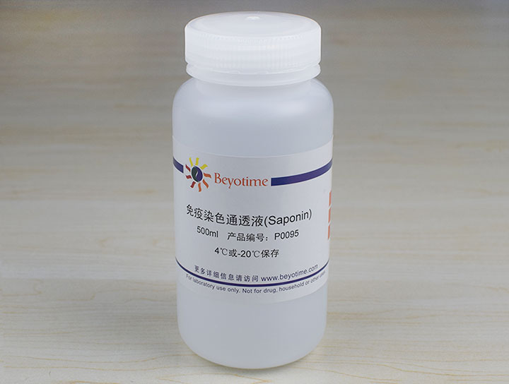 免疫染色通透液(Saponin)(P0095-500ml)