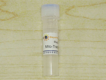 Lyso-Tracker Red (溶酶体红色荧光探针)(C1046)