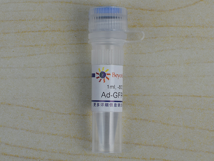 Ad-GFP-p62(C3015-1ml)