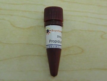 Propidium Iodide/碘化丙啶(ST512)