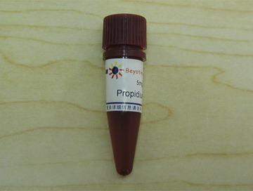 Propidium Iodide/碘化丙啶(ST511)