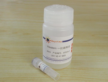 Tubulin抗体(小鼠单抗)(AT819)