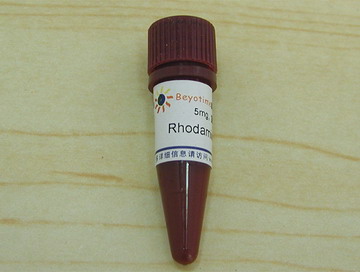Rhodamine 123(C2007)