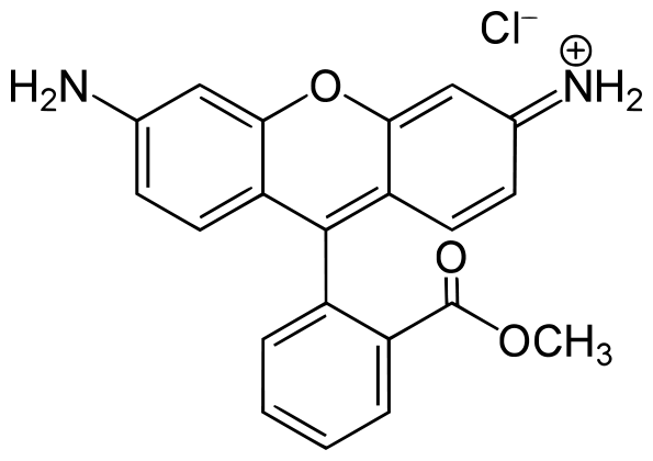 Rhodamine 123(C2007)