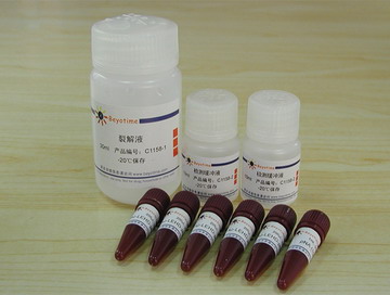 Caspase 9 活性检测试剂盒(C1158)