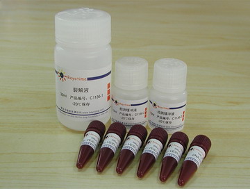 Caspase 6 活性检测试剂盒(C1136)