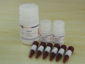 Caspase 4 活性检测试剂盒(C1122)