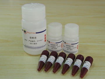 Caspase 3 活性检测试剂盒(C1116)