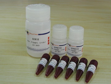 Caspase 2 活性检测试剂盒(C1108)