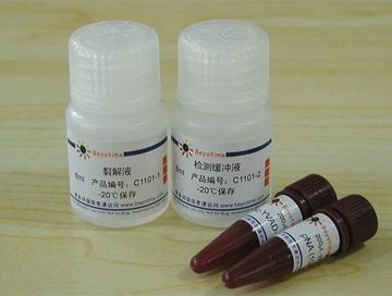 Caspase 1 活性检测试剂盒(C1101)