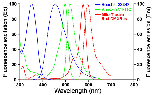 线粒体膜电位与细胞凋亡检测试剂盒(C1071M)