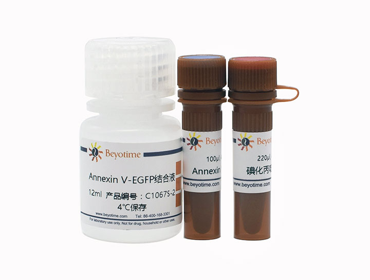 Annexin V-EGFP细胞凋亡检测试剂盒(C1067S)