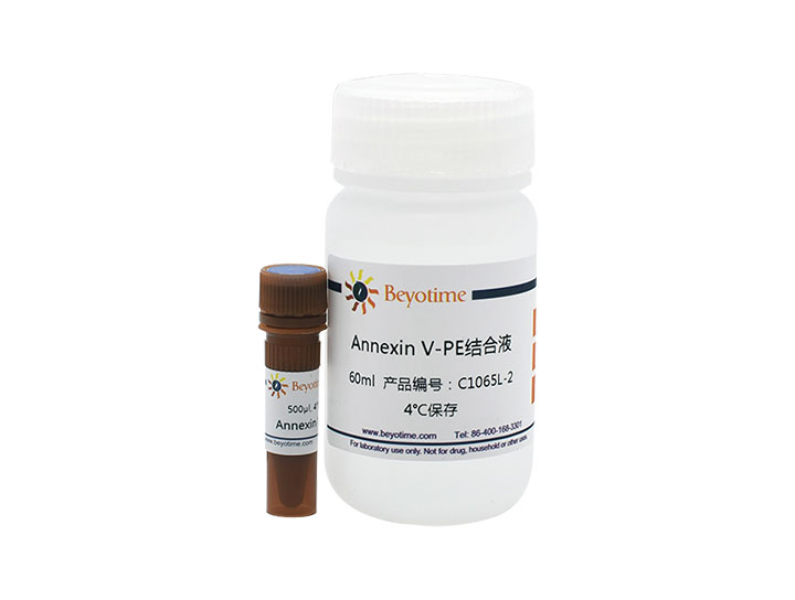 Annexin V-PE细胞凋亡检测试剂盒(C1065L)