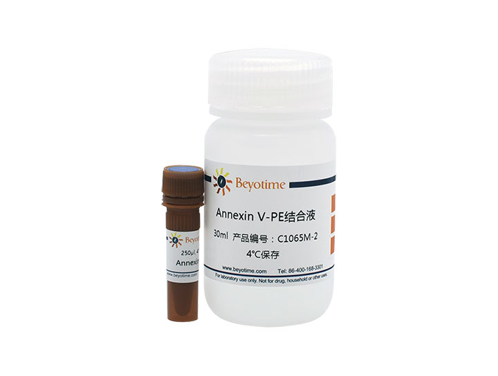 Annexin V-PE细胞凋亡检测试剂盒(C1065M)