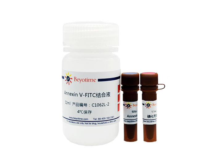 Annexin V-FITC细胞凋亡检测试剂盒(C1062L)