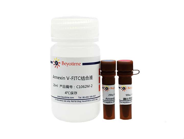 Annexin V-FITC细胞凋亡检测试剂盒(C1062M)