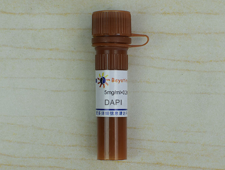 DAPI(C1002)