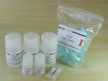细胞凋亡－DNA Ladder抽提试剂盒(离心柱式)(C0008)