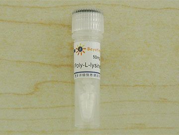 Poly-L-lysine/多聚赖氨酸(ST509)