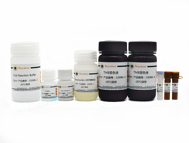 BeyoClick™ EdU细胞增殖检测试剂盒(TMB法)(C0088L)