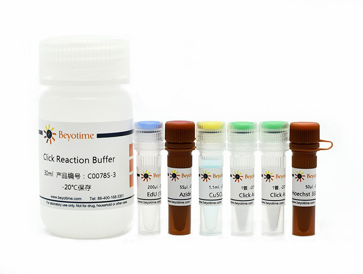 BeyoClick™ EdU-594细胞增殖检测试剂盒(C0078S)