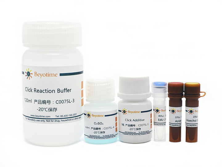 BeyoClick™ EdU-555细胞增殖检测试剂盒(C0075L)