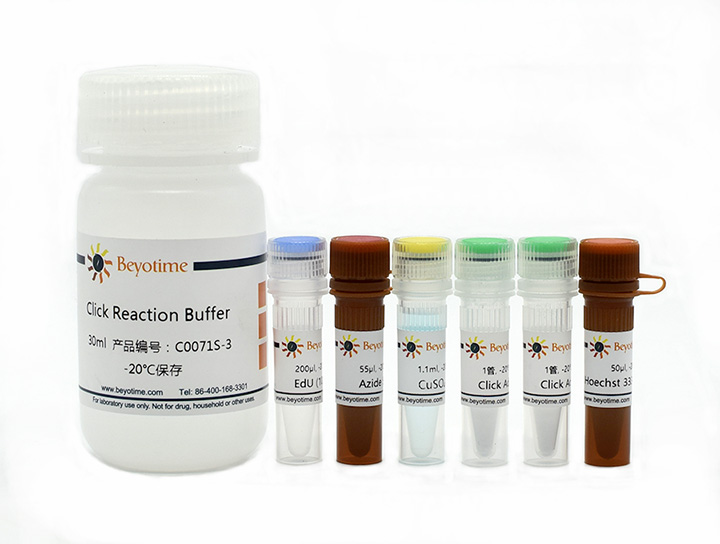 BeyoClick™ EdU-488细胞增殖检测试剂盒(C0071S)