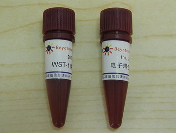 WST-1细胞增殖及细胞毒性检测试剂盒(C0035)